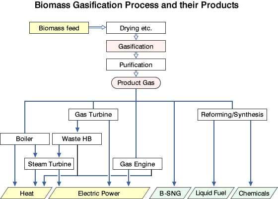 Biomass Gasification Process and their Products